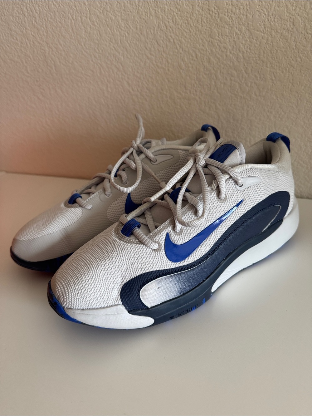 Nike Kids White and Blue Low-Top Sneakers